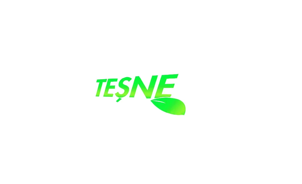 TEŞNE
